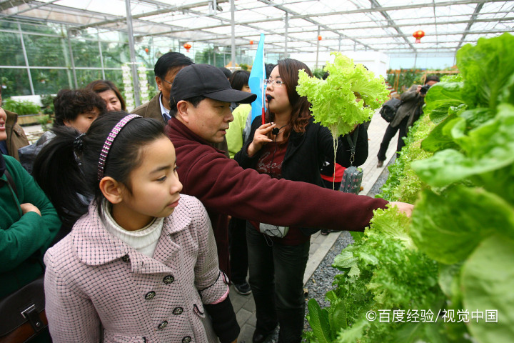 宁波天宫庄园摘草莓图片