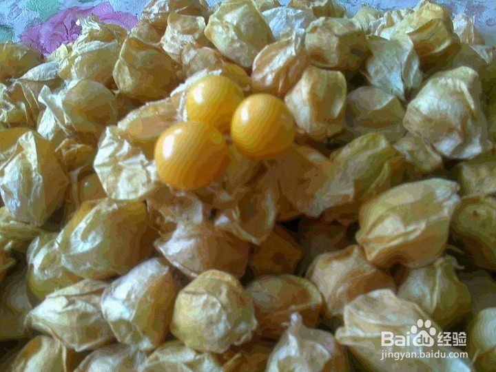 老年人怎样用做游戏的方法和孩子吃姑鸟