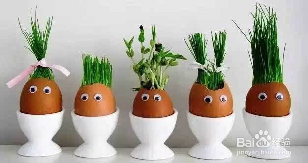 如何选择百度经验的标题