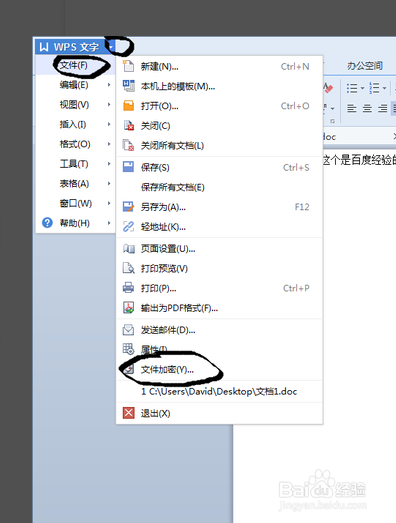 WPS文档加密使用方法
