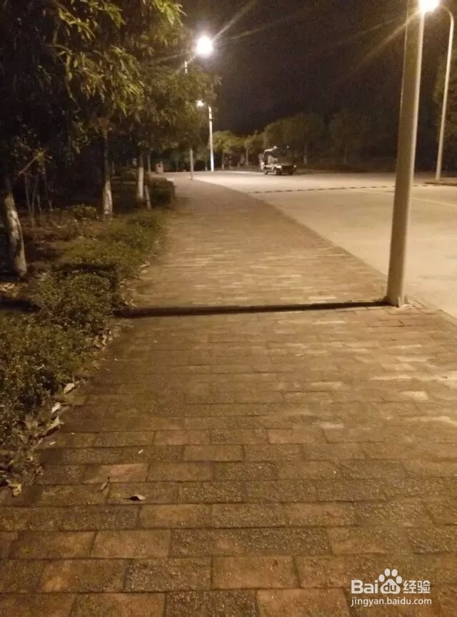 游玩--广东理工职业学院