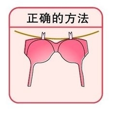 教你怎样保养内衣