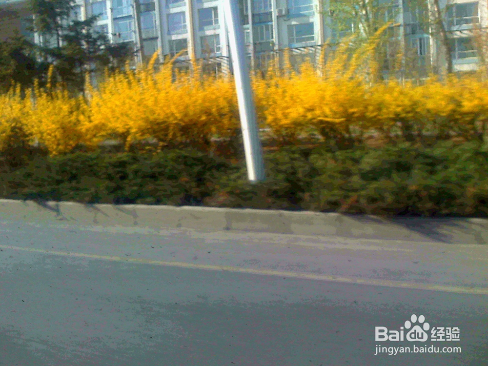 和女朋友发生政治分歧怎么办?