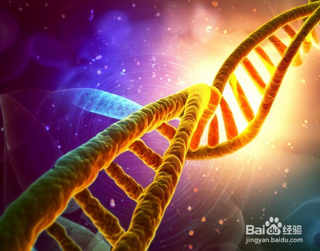 mRNA,tRNA,rRNA的区别与联系