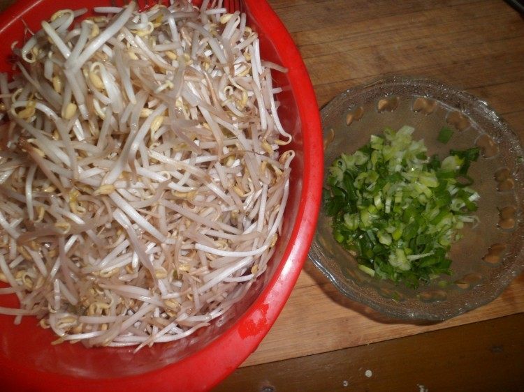 超美味的素炒绿豆芽，每一口都是满满的幸福！