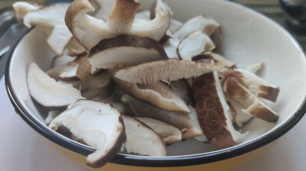 一人食~香菇鸡肉炖~极简美食