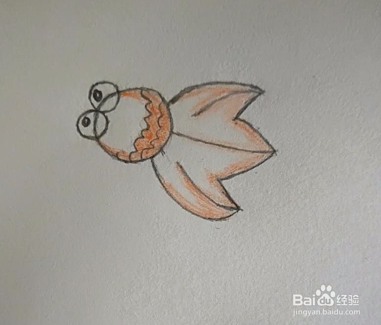 简笔画-怎么画可爱的金鱼