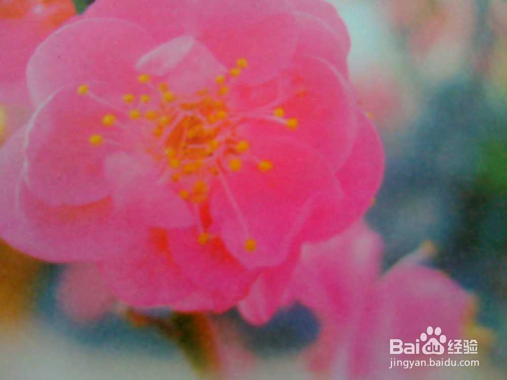 女孩子冬天手脚冰凉怎么保暖