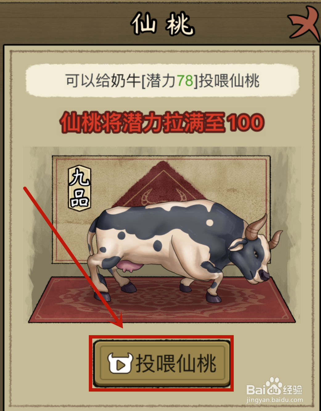 叫我养牛王怎么给奶牛投喂仙桃