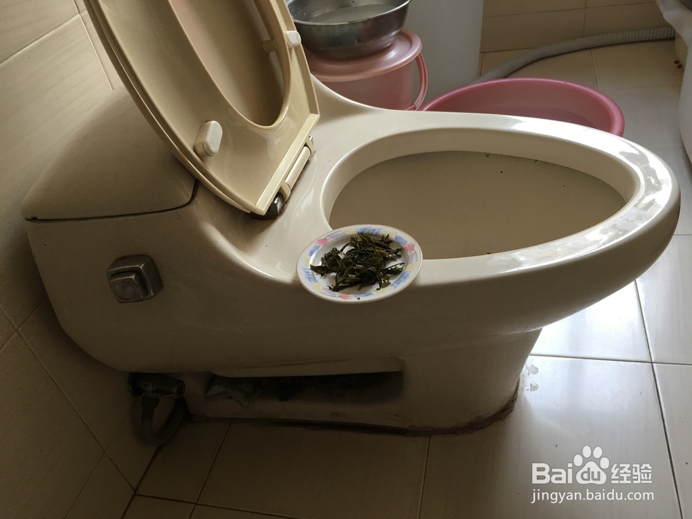 怎样利用泡过茶的茶叶?