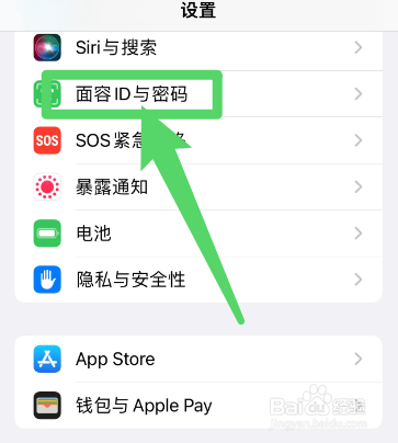 13为什么设置不了口罩面容