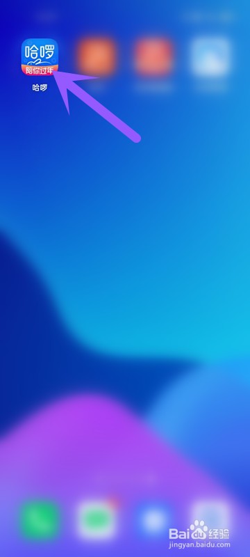 怎么在哈啰APP中查看信息