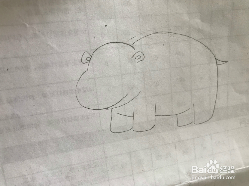 简笔画之大河马