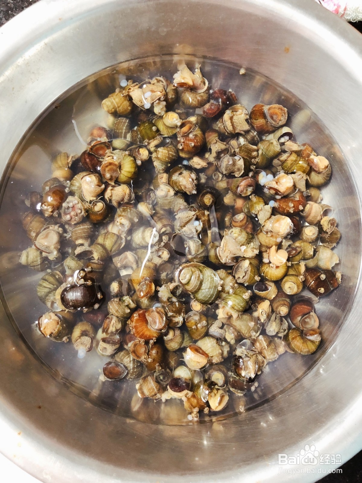 酱爆螺蛳的做法