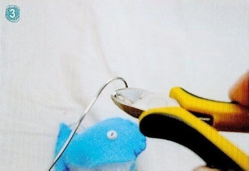 简单的小鱼(缸)DIY教程