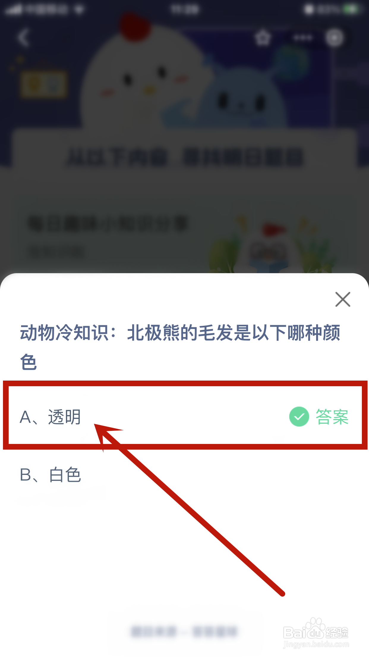 北极熊的毛发是以下哪种颜色？
