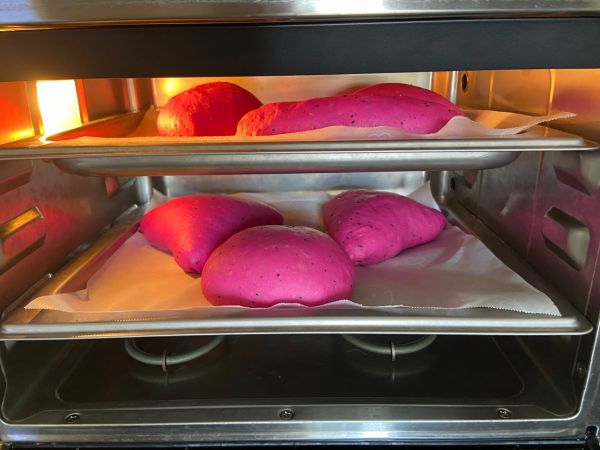 火龙果麻薯肉松软欧包