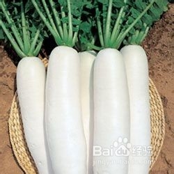 食物相克有害健康