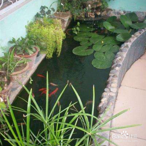 阳台鱼池防水施工步骤