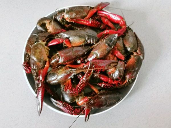 香辣红烧小龙虾