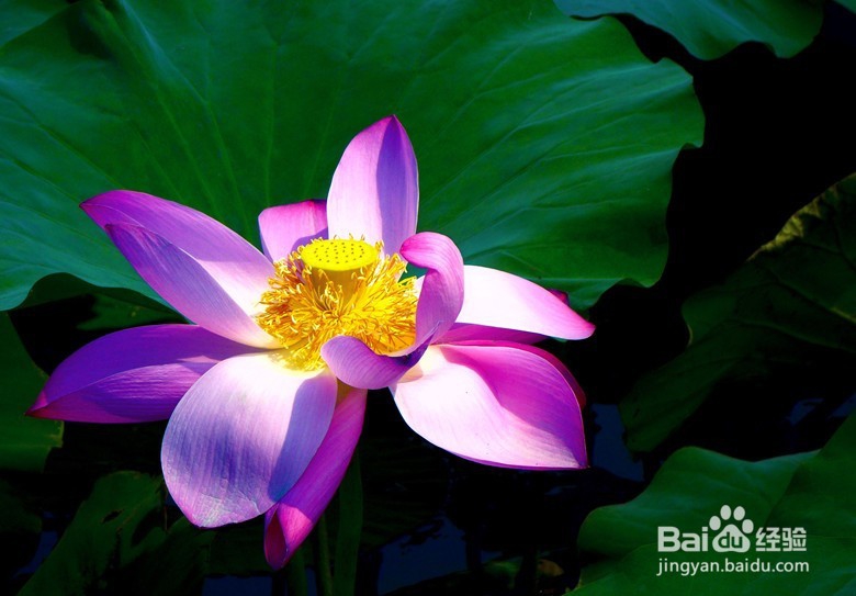 如何拍摄好风景