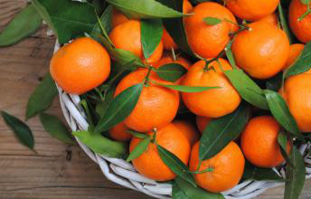 如何除去装修后的异味及除油漆有毒甲醛异味