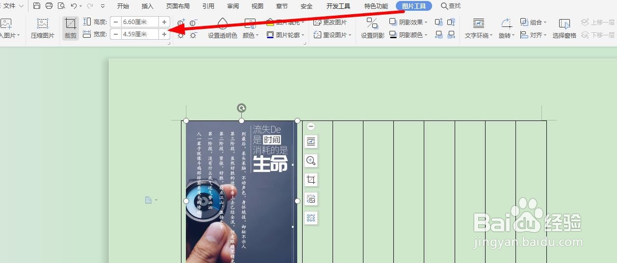 word插入图片显示不全怎么办？