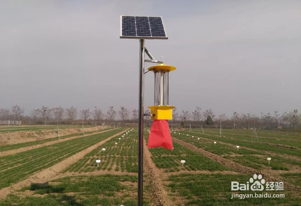 频振式太阳能杀虫灯的杀虫效果怎么样？