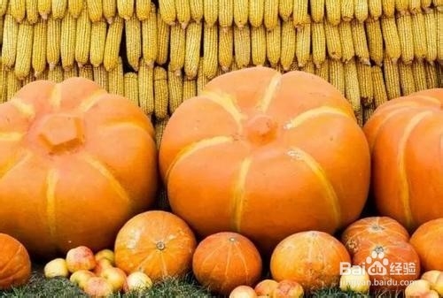 关于可以控糖的食物你知道哪些