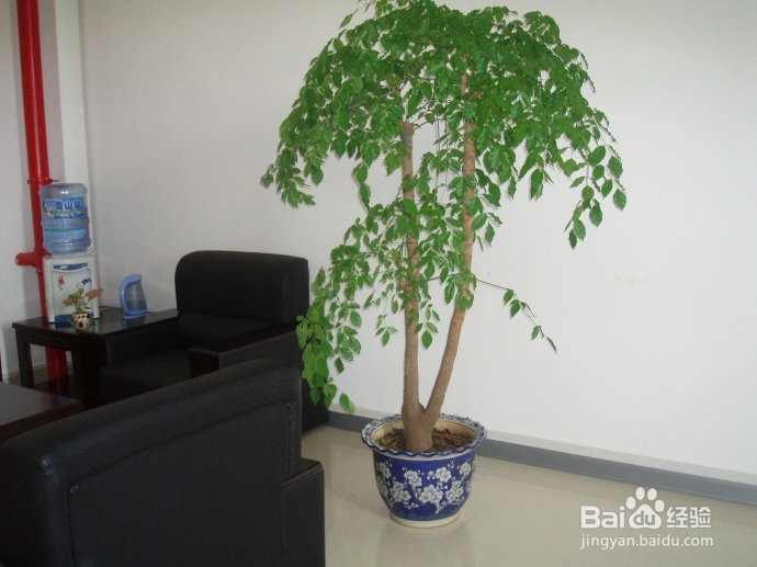 教你如何预防空调病!