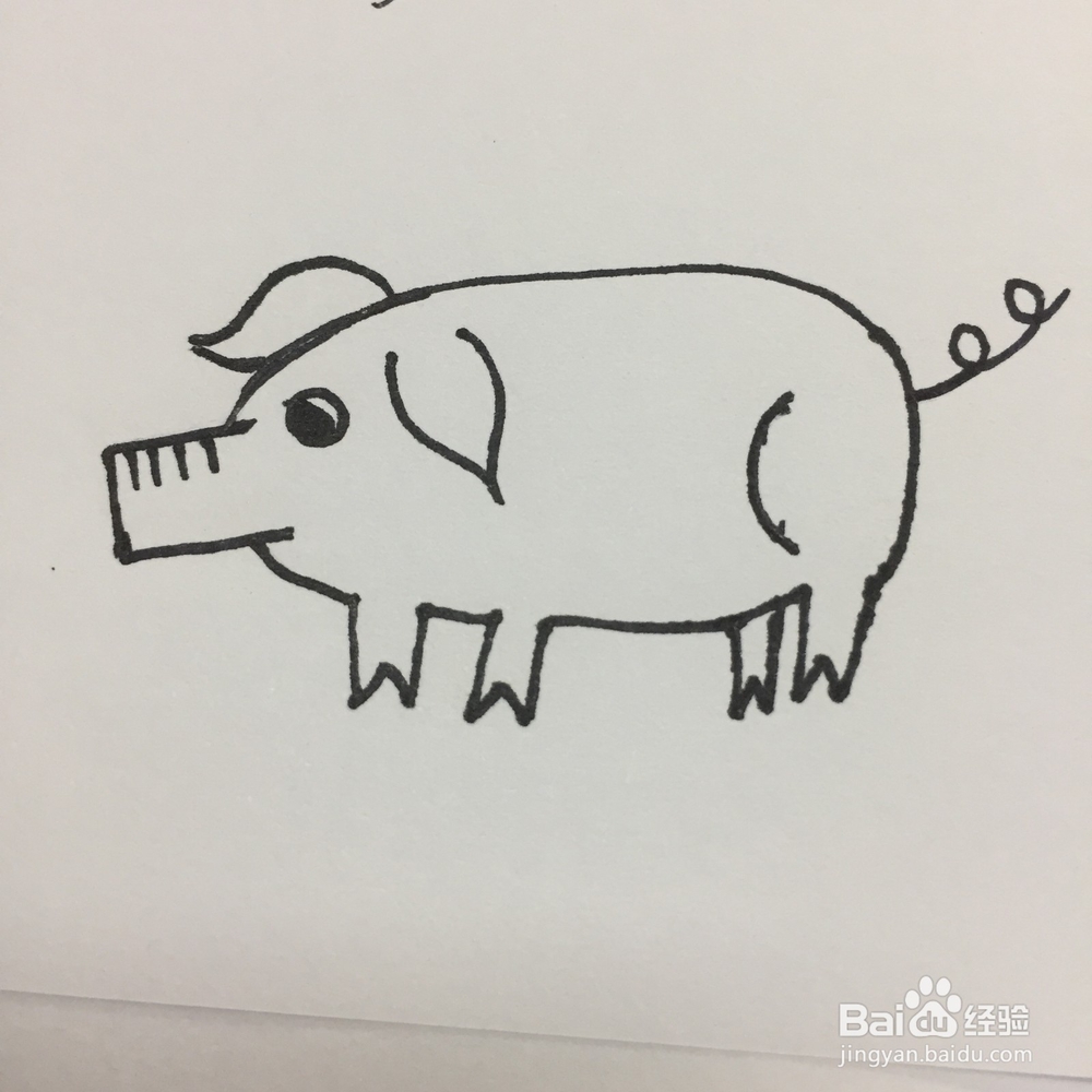 猪的简单画法