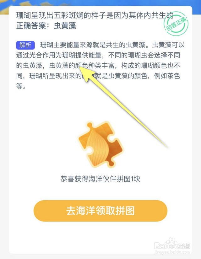 神奇海洋瑚呈现出五彩斑斓的样子是因其体内共生