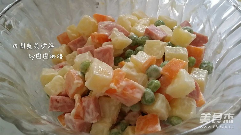 田园沙拉的做法