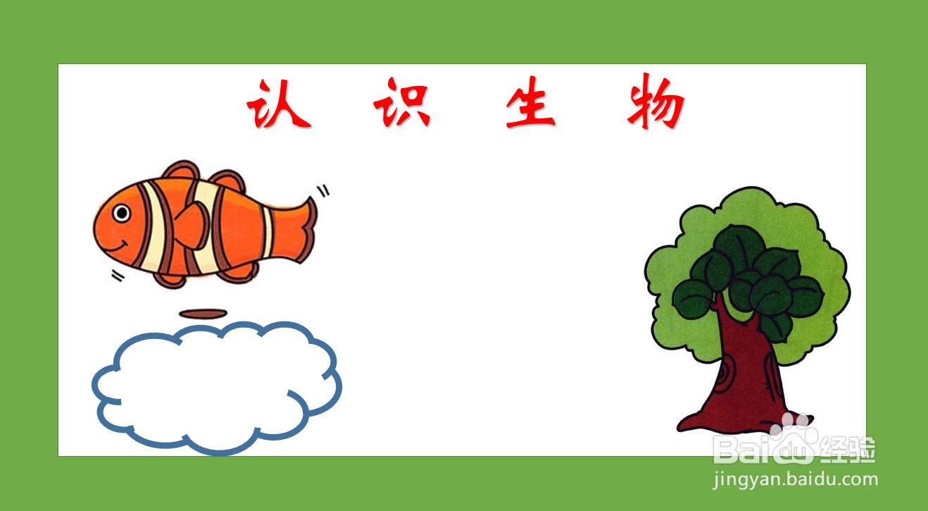 生物手抄报简单又漂亮