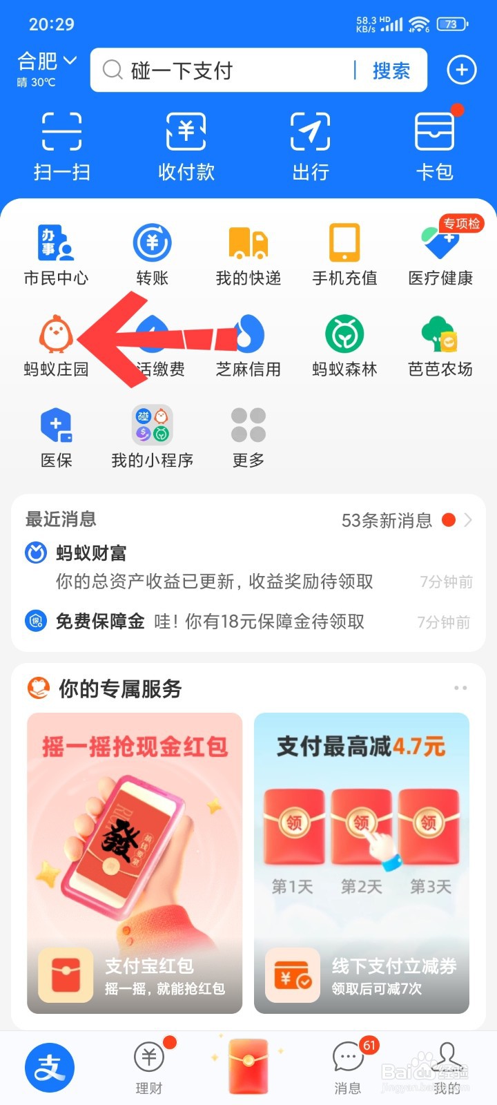 支付宝小鸡怎么改名字