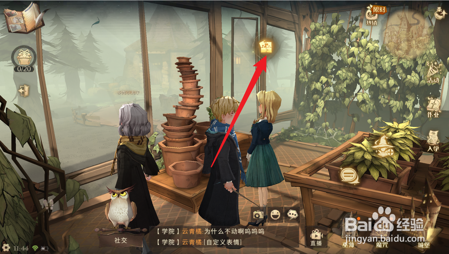 哈利波特魔法觉醒曼德拉草拼图在哪