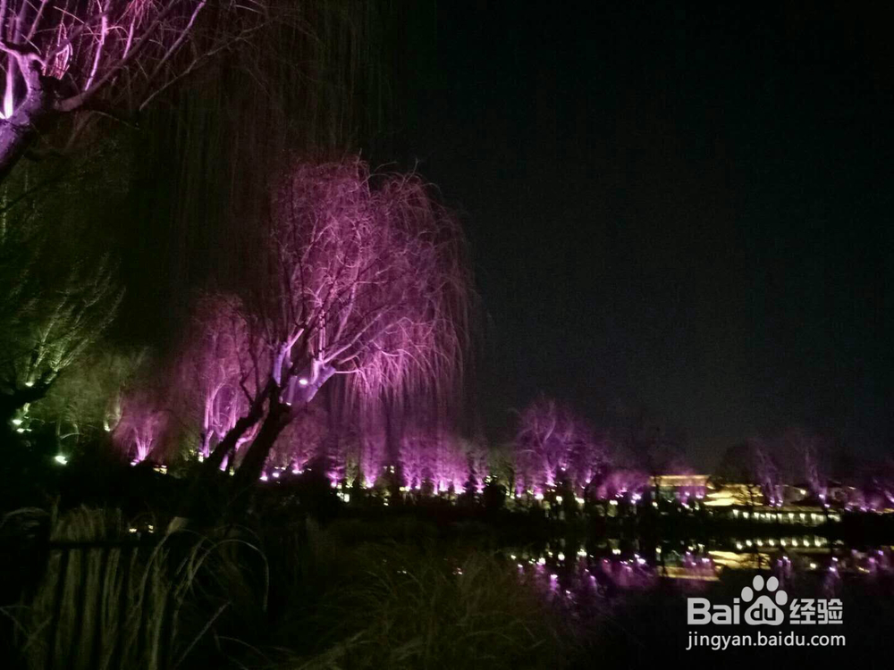 山东济南大明湖夜景