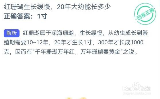 红珊瑚生长缓慢，20年大约能长多少？神奇海洋