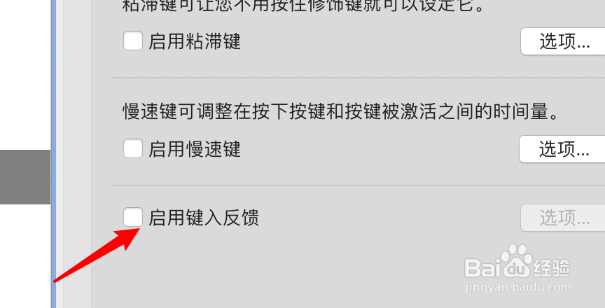 mac电脑怎么启用键入反馈功能