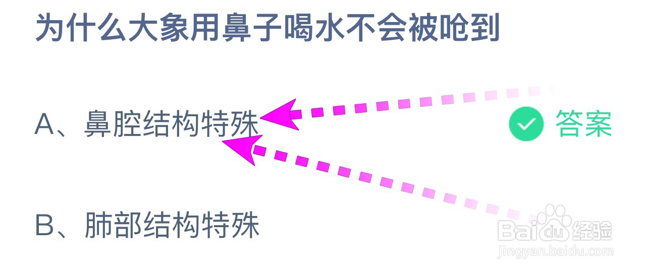 为什么大象用鼻子喝水不会被呛到蚂蚁庄园6.13