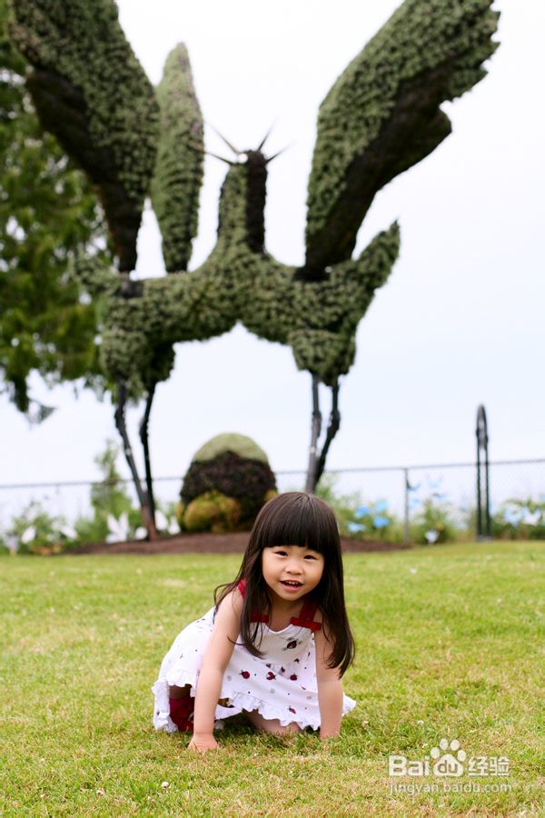 温哥华夜幕下的玫瑰园(组图)