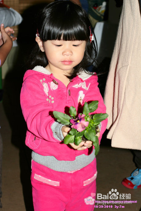 幼儿园亲子户外活动：学种花(组图)