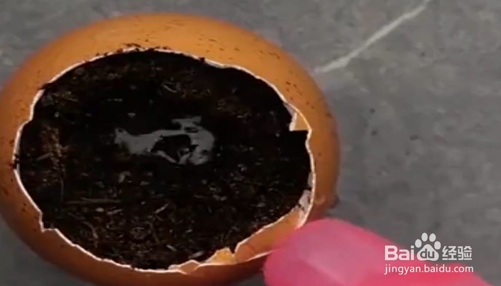 如何学会神奇实用的种植术