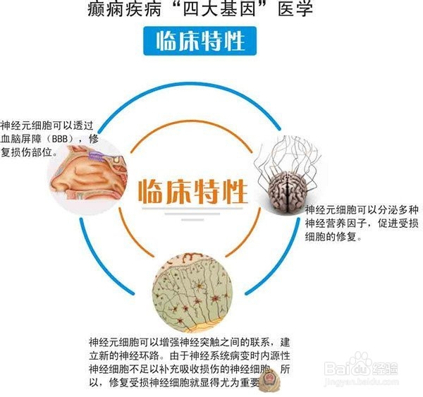 数字化神经元调控修复体系