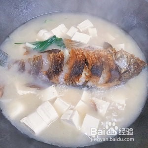 怎么做好喝的鲫鱼豆腐汤