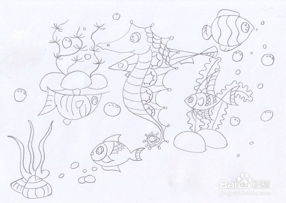 简笔画明星海马
