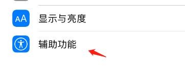 iPhone旁白盲文输入怎么设为简写盲文