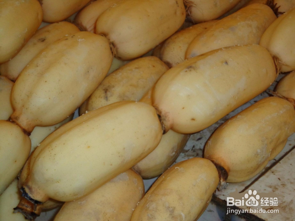 莲藕要怎么挑选?怎么保鲜?