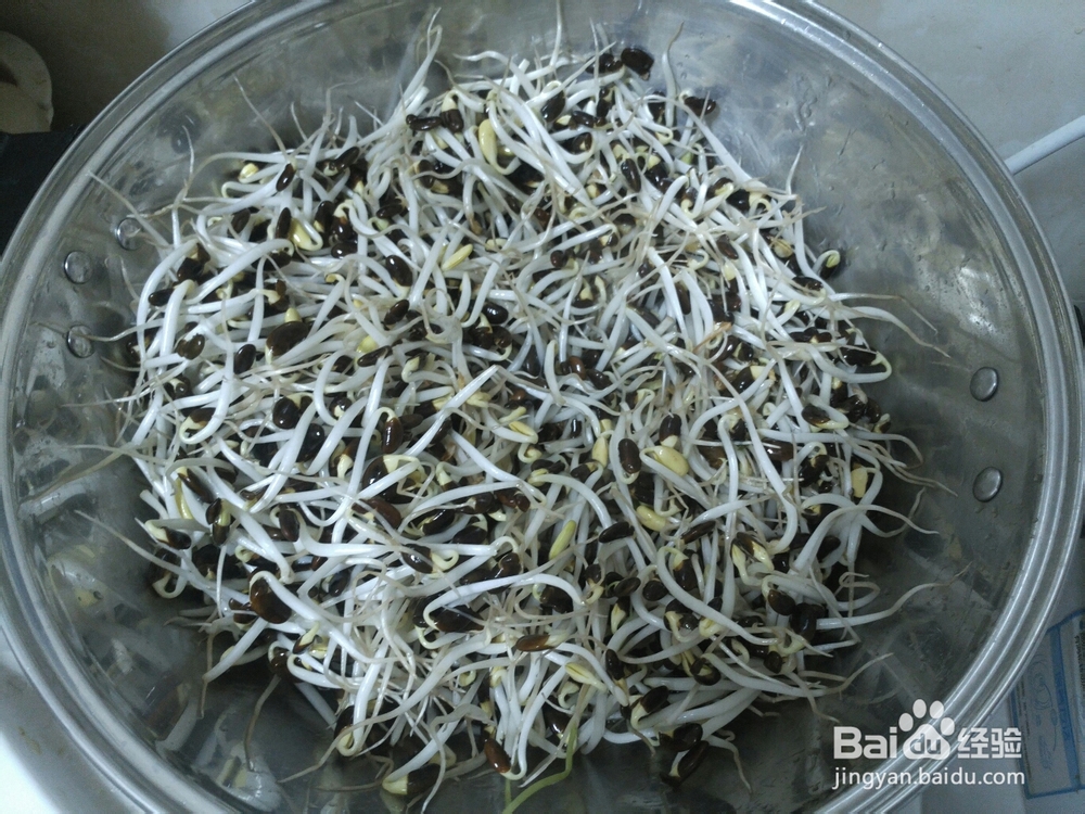 孩子爱吃的豆芽焖面