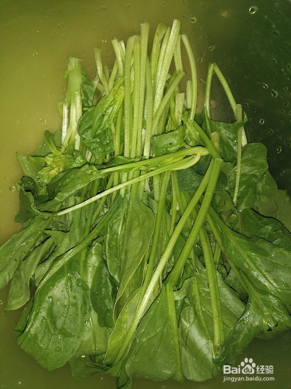 耗油菠菜肉拌面